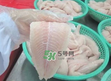 å·´æ²™é­šæœ‰åˆºå—Žï¼Ÿå·´æ²™é­šæœ‰å¯„ç”ŸèŸ²å—Ž
