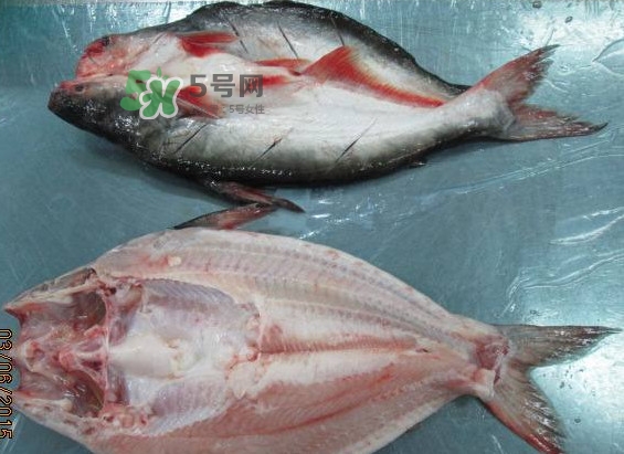 巴沙魚(yú)是鯰魚(yú)嗎？巴沙魚(yú)是海魚(yú)嗎