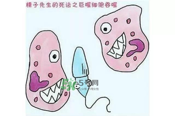 殺精的食物有哪些？吃什么東西殺精？