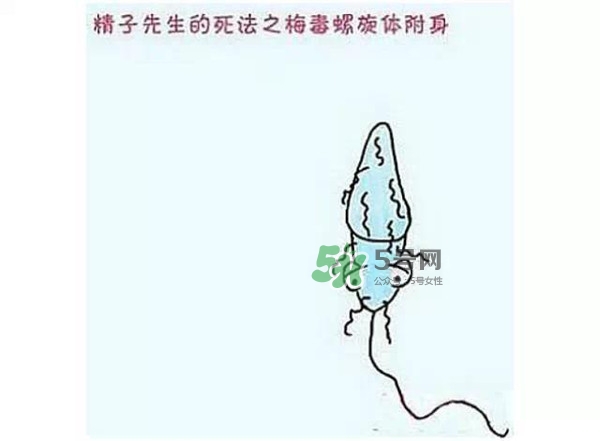 殺精的食物有哪些？吃什么東西殺精？