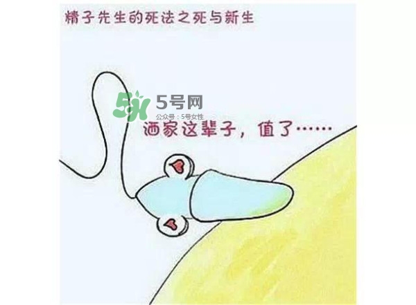 殺精的食物有哪些？吃什么東西殺精？