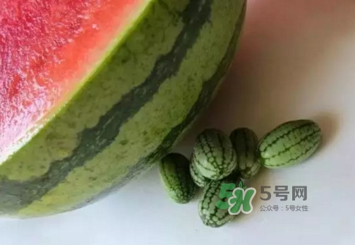 拇指西瓜多少錢一斤？拇指西瓜一口能吃幾個？