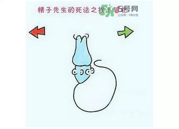 殺精的食物有哪些？吃什么東西殺精？