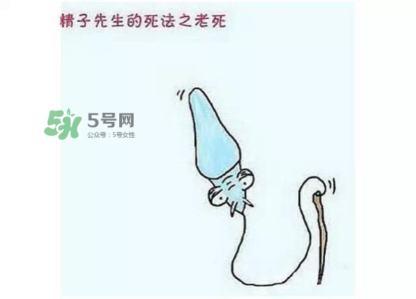 殺精的食物有哪些？吃什么東西殺精？