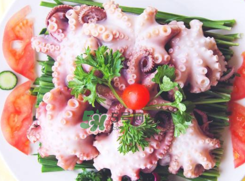 八爪魚什么地方不能吃？八爪魚哪里不能吃？