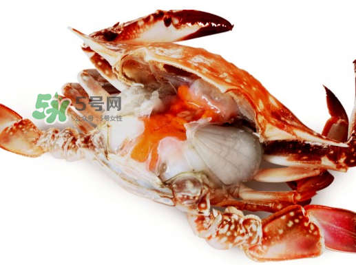 吃梭子蟹會胖嗎？梭子蟹吃了會胖嗎？ 