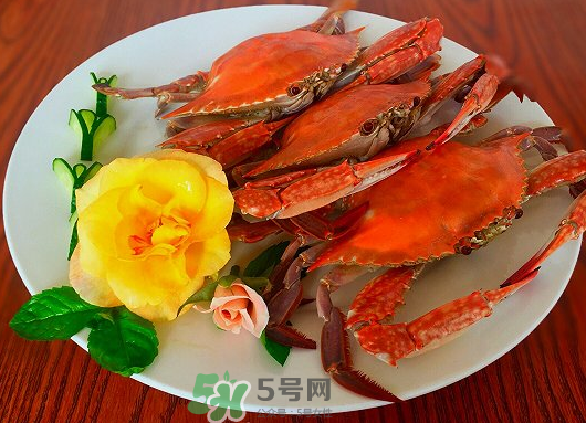 吃梭子蟹會胖嗎？梭子蟹吃了會胖嗎？ 