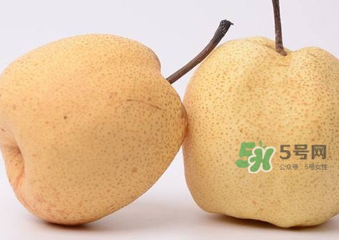 ç¢­å±±æ¢¨ä»€ä¹ˆæ™‚å€™æˆç†Ÿï¼Ÿç¢­å±±æ¢¨å¹¾æœˆä»½æˆç†Ÿ