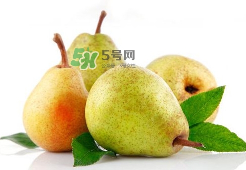 梨子是什么季節的水果？梨子什么季節吃最好