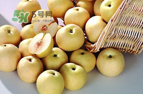 梨子是什么季節的水果？梨子什么季節吃最好