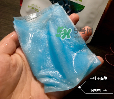 一葉子山茶花補水面膜怎么樣？一葉子山茶花面膜好嗎？
