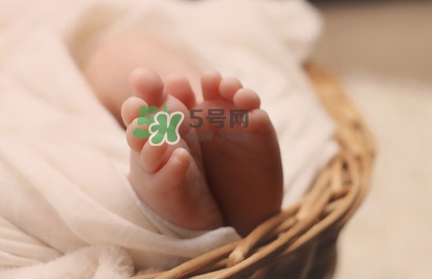 孕婦怎么吃燕窩最好？哪些孕媽需要吃燕窩？