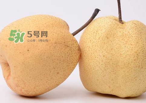 碭山梨好還是皇冠梨好？碭山梨和皇冠梨的區別