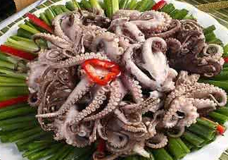 八爪魚可以冷凍嗎？八爪魚可以放冰箱嗎？