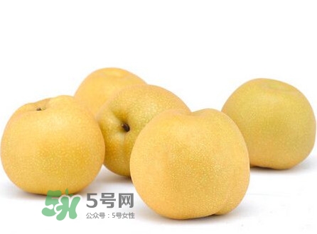 ç¢­å±±æ¢¨ä»€ä¹ˆæ™‚å€™æˆç†Ÿï¼Ÿç¢­å±±æ¢¨å¹¾æœˆä»½æˆç†Ÿ
