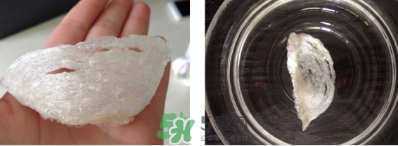 燕窩用什么鍋燉最好吃？燕窩用什么器具燉最好？