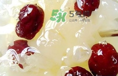 燕窩用什么鍋燉最好吃？燕窩用什么器具燉最好？