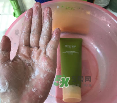 一葉子補水潔面乳怎么樣？一葉子補水洗面奶好用嗎？