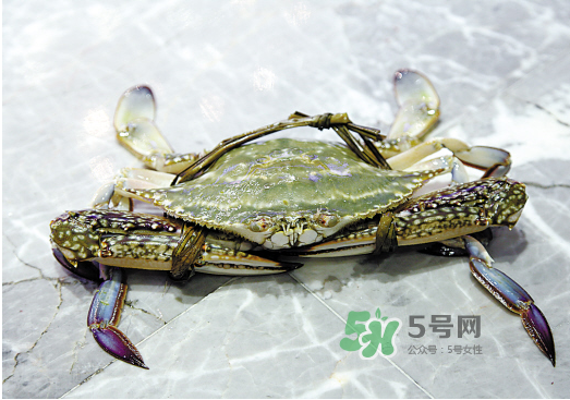梭子蟹可以和酸奶一起吃嗎？吃完梭子蟹能喝酸奶嗎？