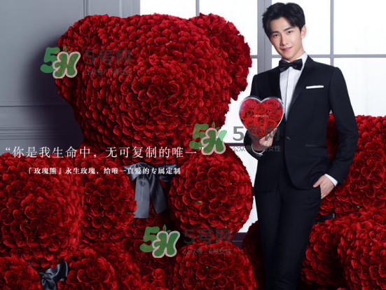 roseonly熊什么材質？roseonly玫瑰熊是真花嗎？