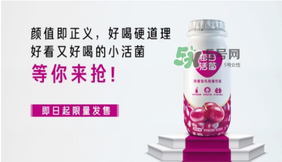 每日活菌乳酸菌多少錢一瓶？每日活菌乳酸菌好喝嗎？