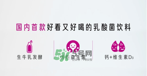 每日活菌乳酸菌多少錢一瓶？每日活菌乳酸菌好喝嗎？