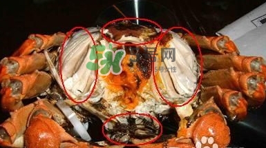 螃蟹怎么吃好吃？螃蟹和什么一起吃最好？