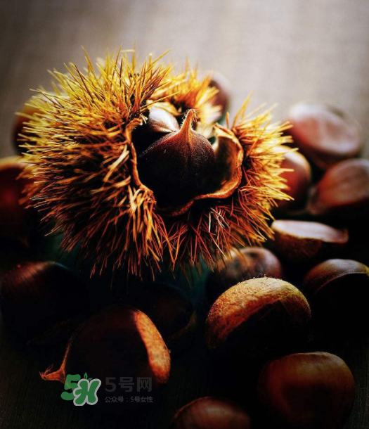 板栗能補(bǔ)腎嗎？板栗補(bǔ)腎陰還是腎陽？