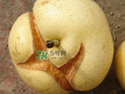 皇冠梨雞爪病能吃嗎？皇冠梨雞爪病怎么辦？