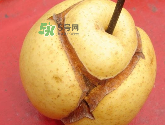 皇冠梨雞爪病能吃嗎？皇冠梨雞爪病怎么辦？