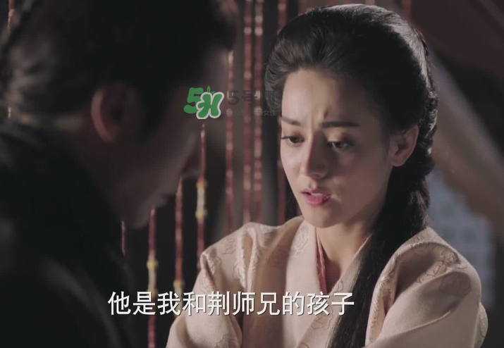 秦時明月麗人心公孫麗孩子是誰的？公孫麗的孩子叫什么？
