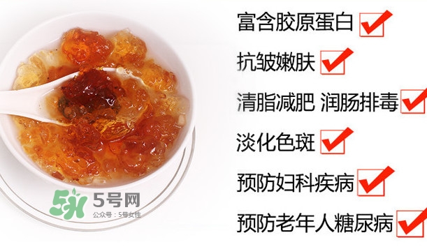 桃膠是桃樹上的膠嗎？桃膠是什么味道
