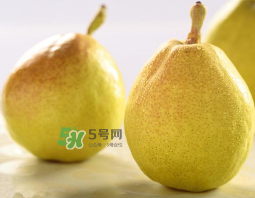 香梨能不能熬冰糖雪梨？香梨可以做冰糖雪梨嗎？