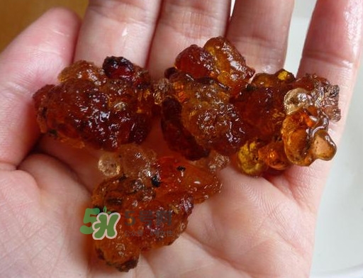 桃膠哪里有賣的？哪里產的桃膠最好