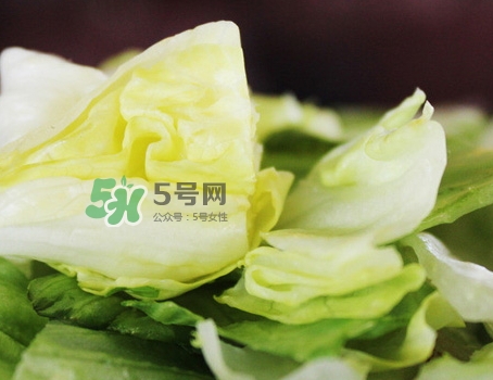 球生菜的營養價值_球生菜的功效與作用及食用方法