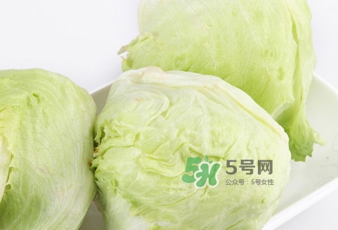 球生菜的營養價值_球生菜的功效與作用及食用方法