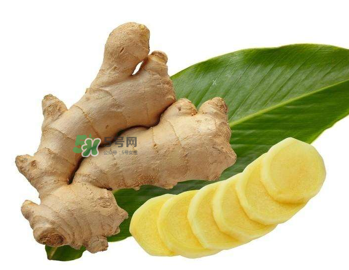 胃病患者可以長(zhǎng)期食用生姜嗎？胃不好能不能吃姜？