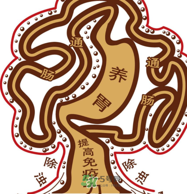 腸胃不好會引起頭暈嗎？頭暈與腸胃不好有關系嗎？