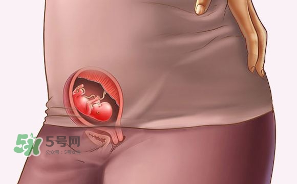 孕期尿頻什么時候開始？孕期尿頻特別嚴重