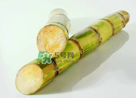 甘蔗是哪里的特產？甘蔗是什么地方的特產