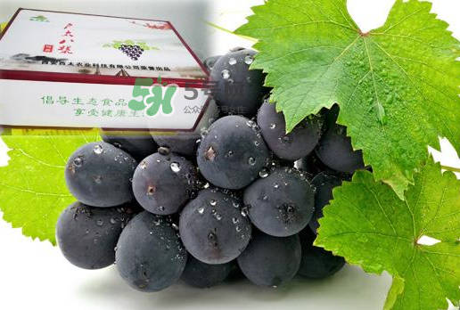 戶太八號什么時候成熟？戶太八號幾月份成熟？
