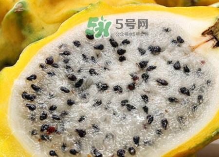 黃龍果好吃嗎？黃龍果怎么吃？