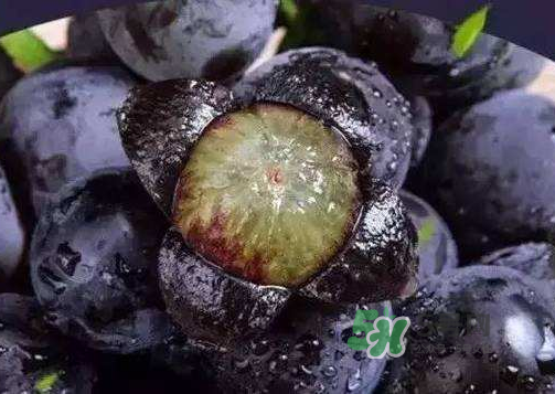 戶太八號(hào)多少錢一斤？戶太八號(hào)為什么在全國很有名？