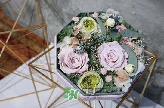 野獸派永生花會死嗎？野獸派永生花是什么？