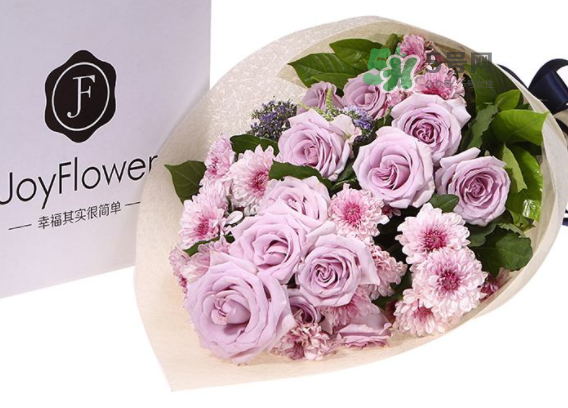 joyflower是哪國品牌？joyflower怎么樣？