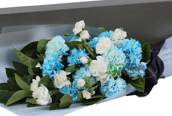joyflower是哪國品牌？joyflower怎么樣？