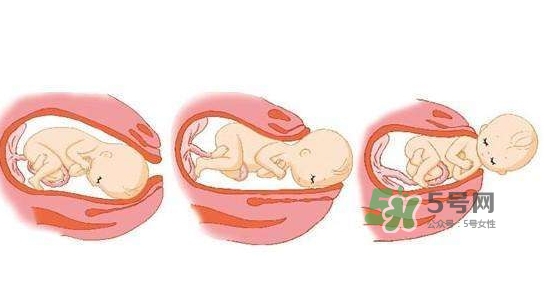胎兒什么時候入盆？胎兒入盆后胎動會減少嗎？