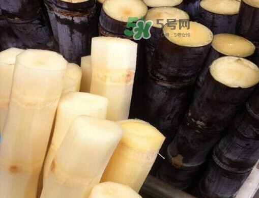 甘蔗是哪里的特產？甘蔗是什么地方的特產