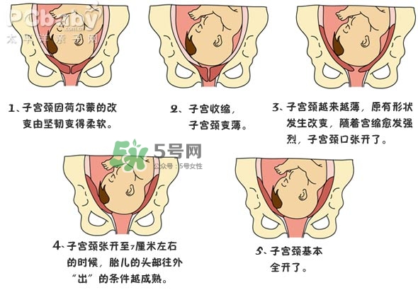 生孩子的過程是怎樣的？生孩子的真實過程