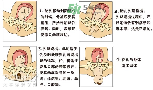 生孩子的過程是怎樣的？生孩子的真實過程